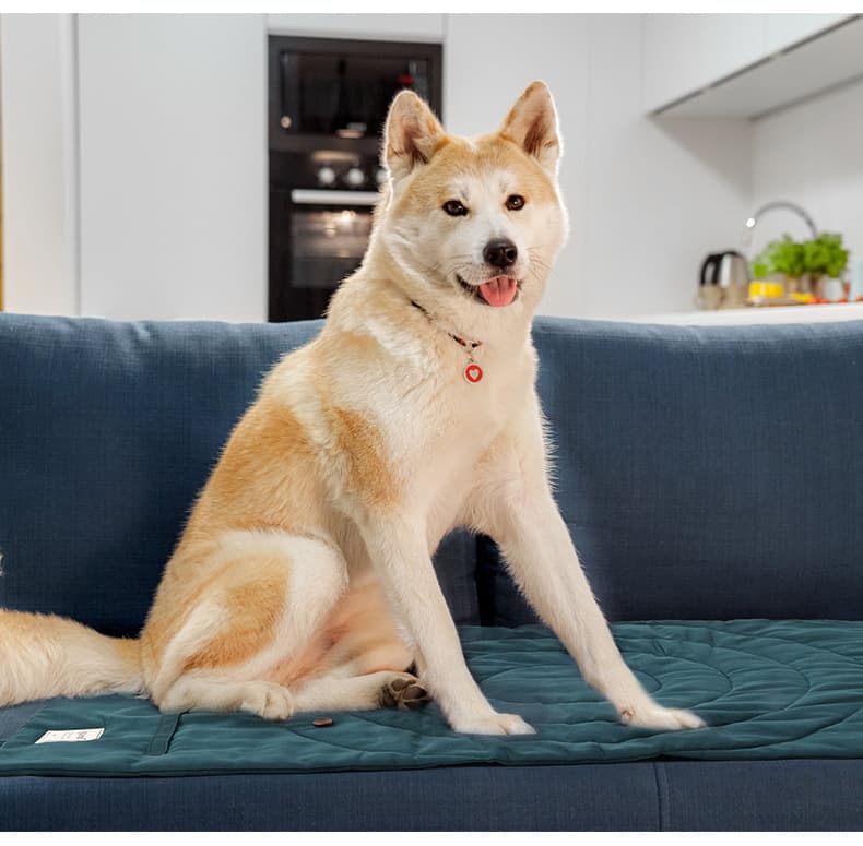 キャンプマット専門店 携帯できる愛犬用ラグジュアリーマット